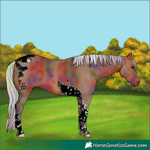 Horse Color:Nacre Silver Bay Tobiano 