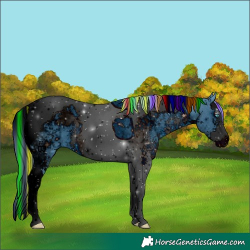 Horse Color:ERROR: UNKNOWN ANOMALY