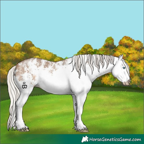 Horse Color:Gray White Spotted Silver Perlino 