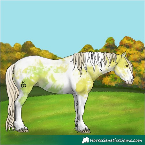 Horse Color:Watercolor Chocolate Palomino Sabino Tobiano Appaloosa 