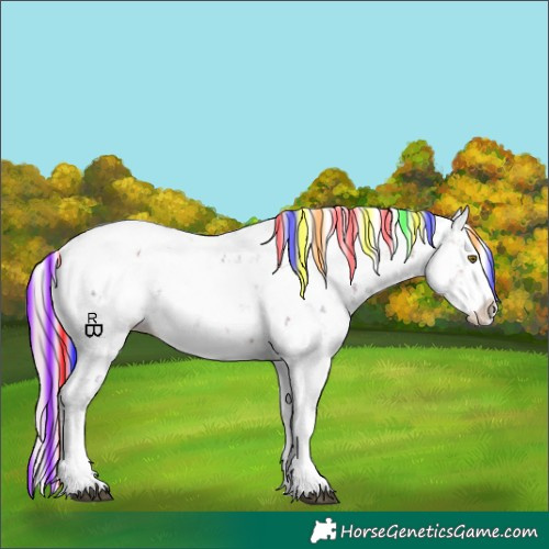Horse Color:Painted Chocolate Palomino Sabino Splash Appaloosa