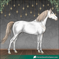 Horse Color:Perlino Sabino Tobiano Frame Appaloosa Rabicano