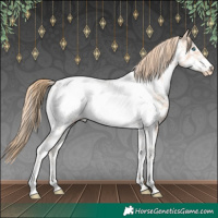 Horse Color:Perlino Sabino Tobiano Frame Near Leopard Rabicano 