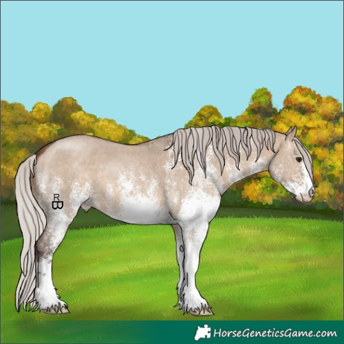 Horse Color:White Spotted Silver Brown Dun 