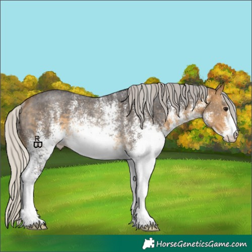 Horse Color:White Spotted Silver Buckskin Rabicano