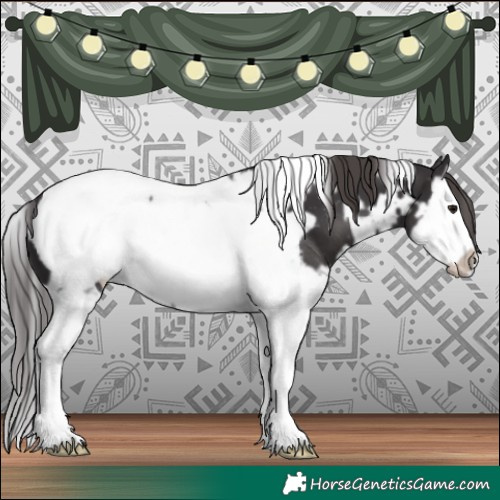 Horse Color:White Spotted Smoky Black Splash Frame Snowcap 