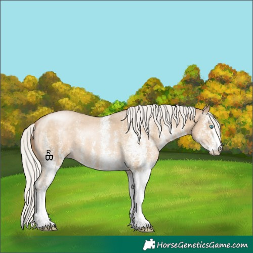 Horse Color:White Spotted Silver Buckskin Pearl 