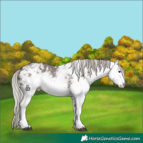 Horse Color:White Spotted Silver Brown 