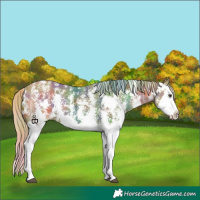 Horse Color:Nacre Chestnut Sabino Splash Varnish
