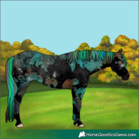 Horse Color:Void Painted Bay Roan Sabino Splash Varnish