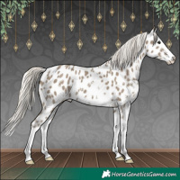 Horse Color:Silver Smoky Black Sabino Splash Appaloosa 