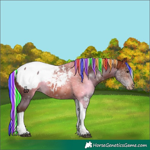 Horse Color:Painted Silver Brown Tobiano Appaloosa