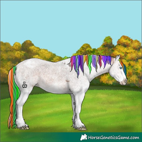 Horse Color:Painted Bay Splash Tobiano Appaloosa