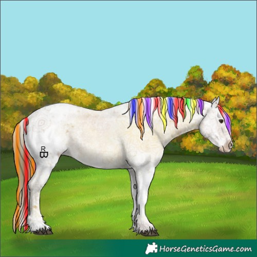 Horse Color:Painted Chestnut Sabino Appaloosa 