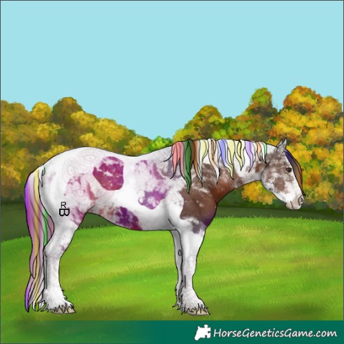 Horse Color:Painted Liver Chestnut Sabino Tobiano 