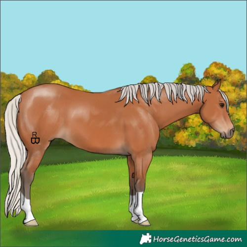 Horse Color:Silver Bay