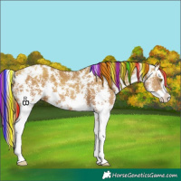 Horse Color:Painted Gold Champagne Sabino Splash Varnish