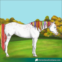 Horse Color:Painted Gold Champagne Sabino Splash Blanket