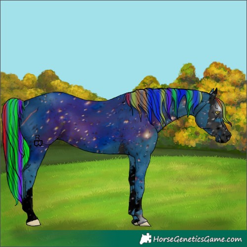 Horse Color:ERROR: UNKNOWN ANOMALY