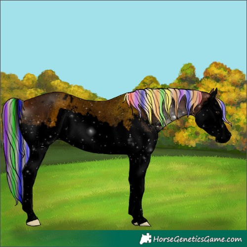 Horse Color:Void Painted Silver Bay Roan Sabino Splash Appaloosa 
