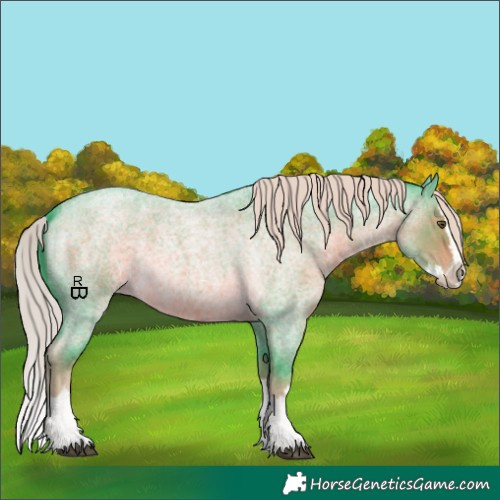 Horse Color:Watercolor Chocolate Palomino Roan Splash 