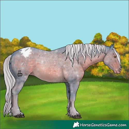 Horse Color:Watercolor Chocolate Palomino Sabino Appaloosa