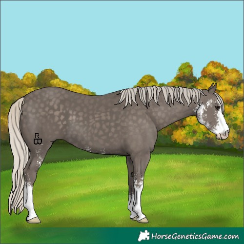 Horse Color:Silver Smoky Black Sabino 