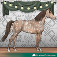 Horse Color:Amber Champagne Sabino Near Leopard and Amber Champagne