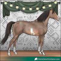Horse Color:Sable Champagne Sabino Rabicano 