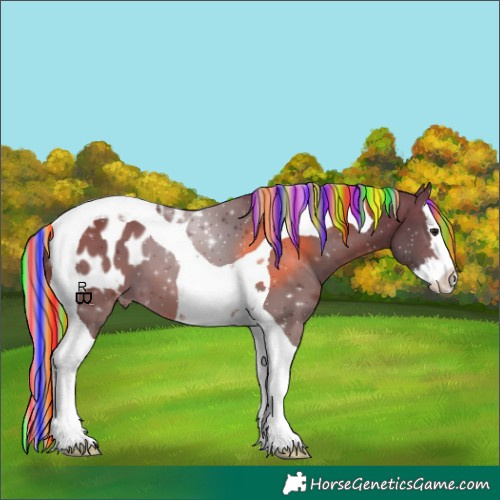Horse Color:Painted Silver Brown Splash Tobiano Appaloosa 