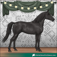 Horse Color:Smoky Black
