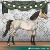 Horse Color:Buckskin Roan