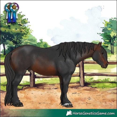Horse Color:Brown 