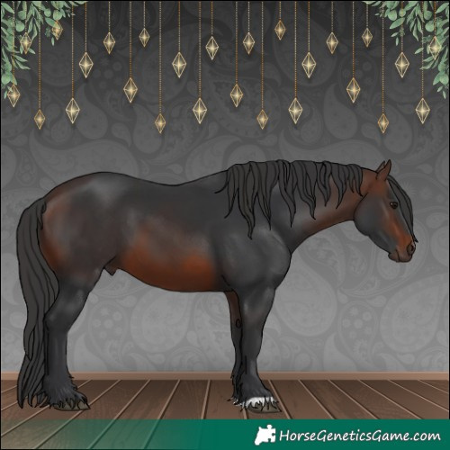 Horse Color:Brown 