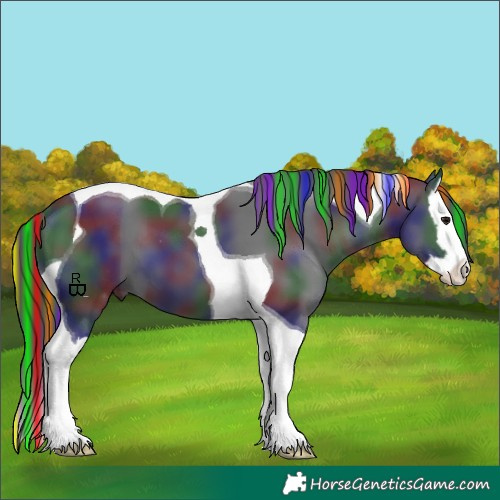 Horse Color:Painted Nacre Black Splash Tobiano 