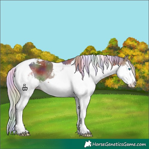 Horse Color:Nacre Silver Brown Splash Tobiano 