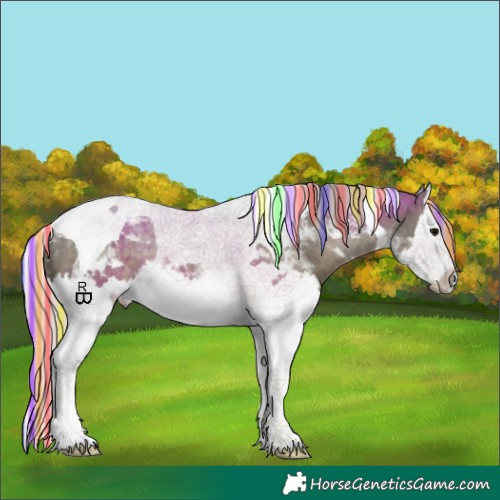 Horse Color:Painted Silver Black Splash Tobiano