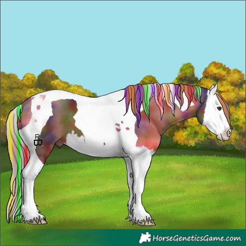 Horse Color:Painted Nacre Liver Chestnut Splash Tobiano 