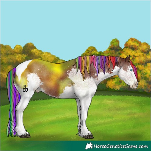 Horse Color:Painted Liver Chestnut Splash Tobiano Varnish 