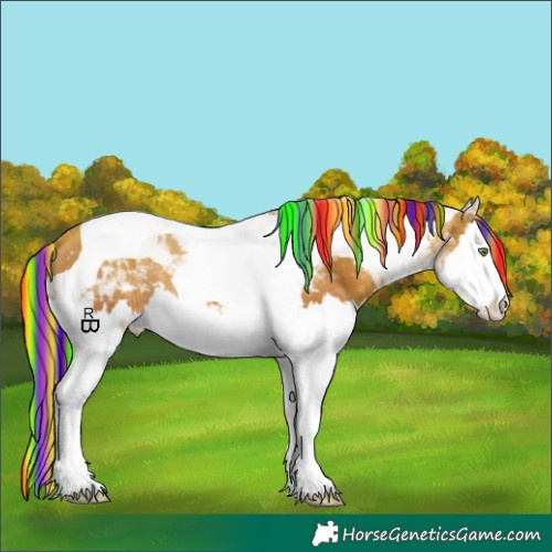 Horse Color:Painted Gold Champagne Splash Tobiano 