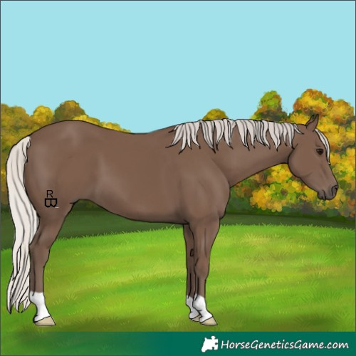 Horse Color:Silver Black 