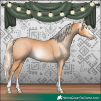 Horse Color:Gray Cremello