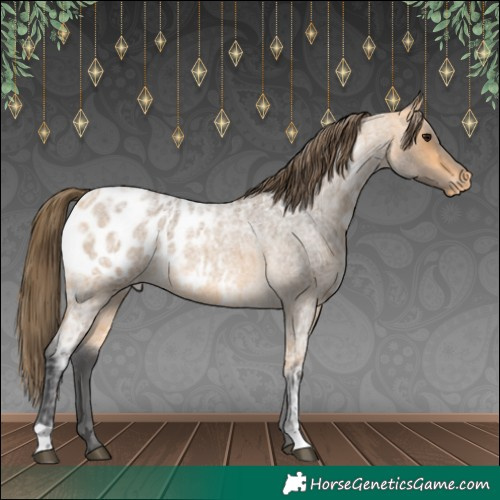 Horse Color:Buckskin Ice Roan Blanket 