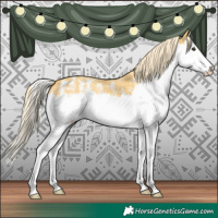 Horse Color:Palomino Sabino Splash