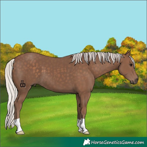 Horse Color:Silver Black 