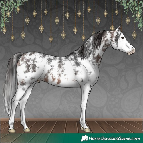Horse Color:Brown Sabino Splash