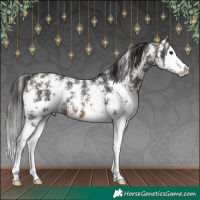 Horse Color:Brown Sabino Splash