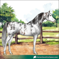 Horse Color:Brown Sabino Splash