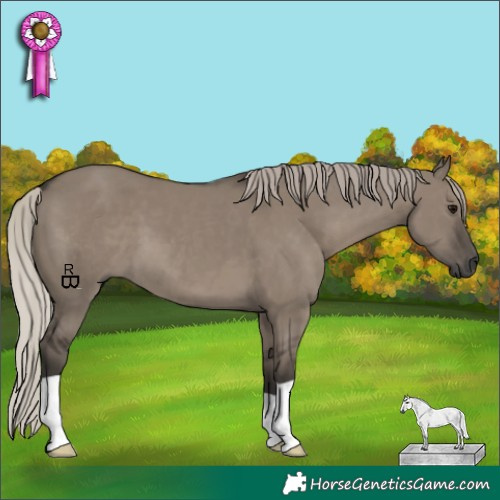 Horse Color:Gray Silver Grullo