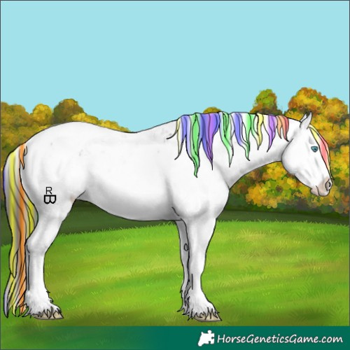 Horse Color:Painted Liver Chestnut Sabino Splash Appaloosa 